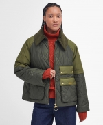 Milby Quilted Jacket - Olive - 8